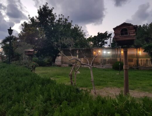Alasaaviri Restaurant