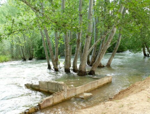 اشرفية الوادي