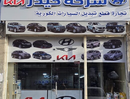 العلامة الكورية شركة حيدر
