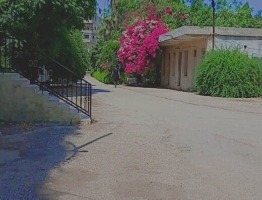 بوقا