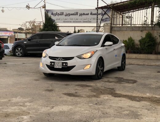 مؤسسة سمير النسرين التجارية