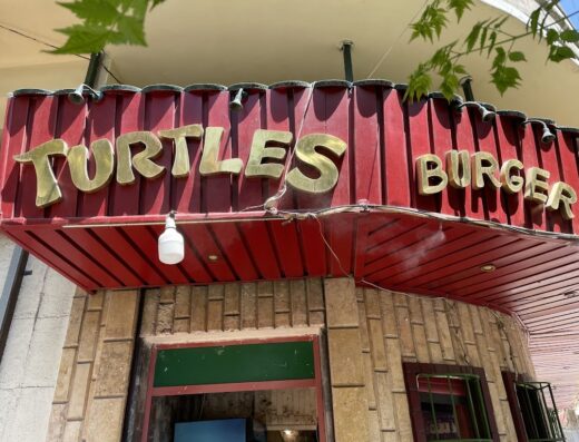 Turtles