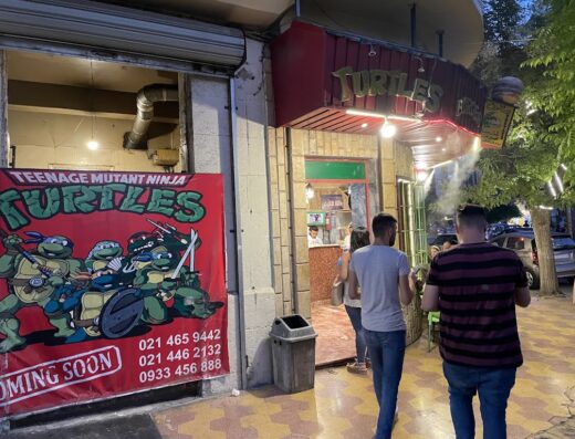 Turtles