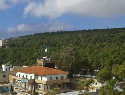 Bakery of Afrin