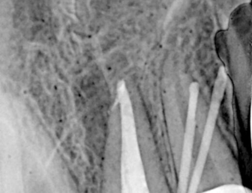 عيادة الدكتور أحمد سيار شقفة