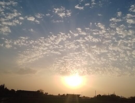 فرن الشافي