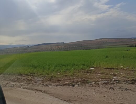مستشفى جمعية البر والخدمات الإجتماعية