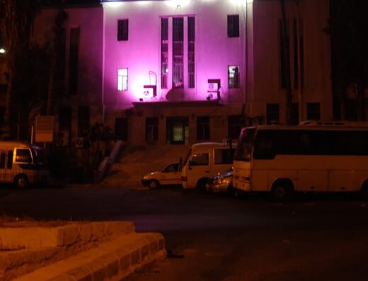 مشفى ابن النفيس
