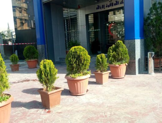 مشفى الرشيد