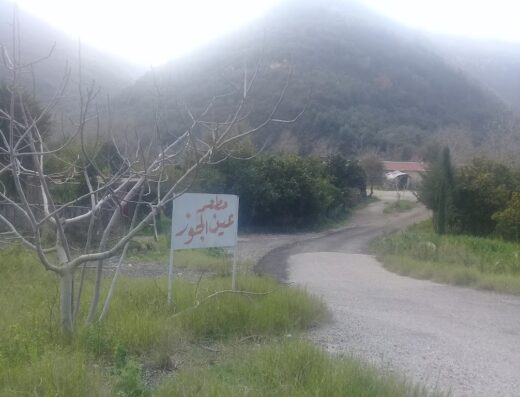 مطعم عين الجوز