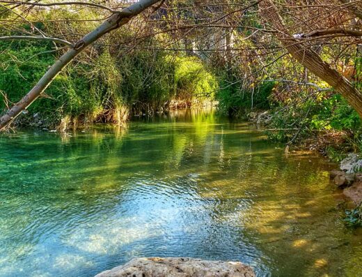 مطعم وكافتريا الضفة