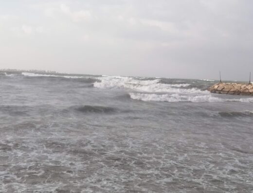 Starbucks.Tartous
