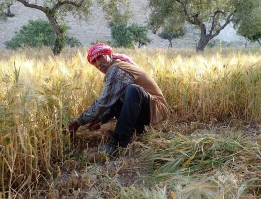 Super Market Afrin