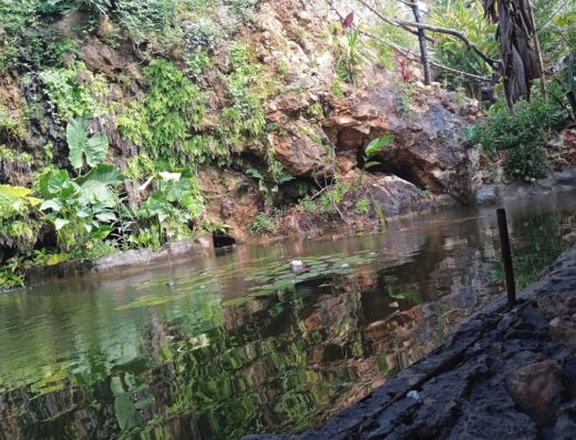 Tropical Cave