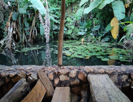 Tropical Cave