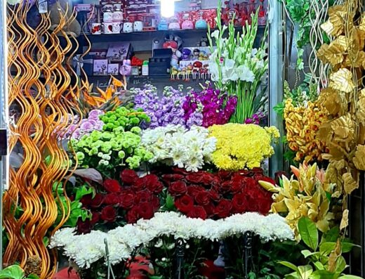 أزهار الإخلاص Loyal Rose