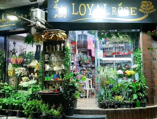 أزهار الإخلاص Loyal Rose