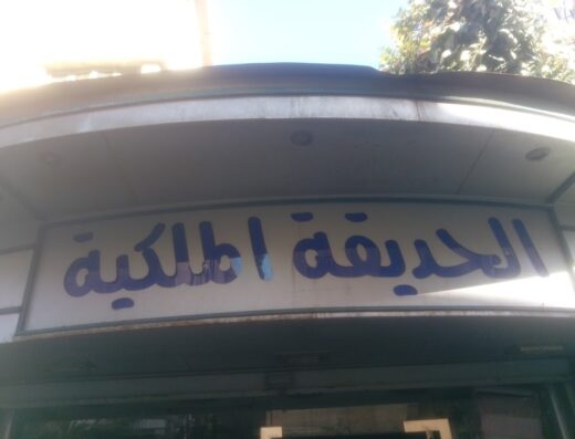 أزهار الحديقة الملكية