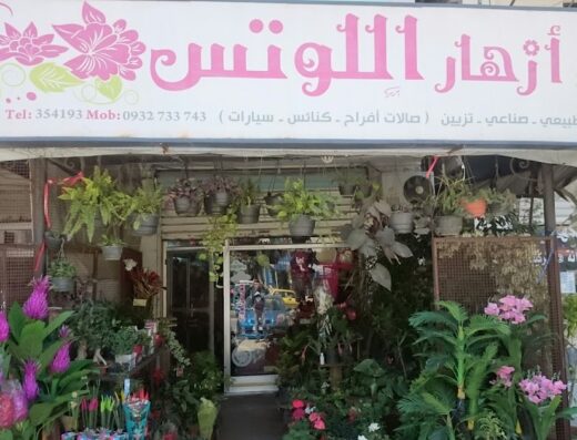 أزهار اللوتس