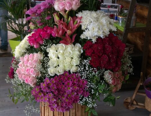 أزهار الميسات