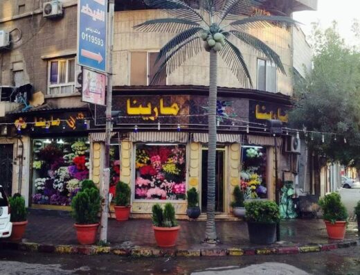 أزهار مارينا