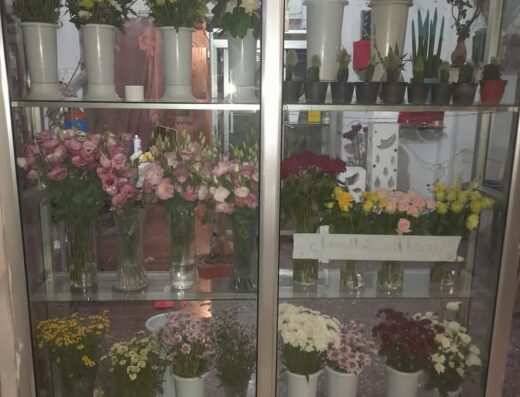ازهار بيت الورد