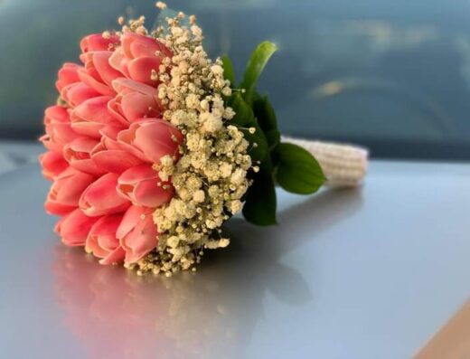 ازهار روح الياسمين