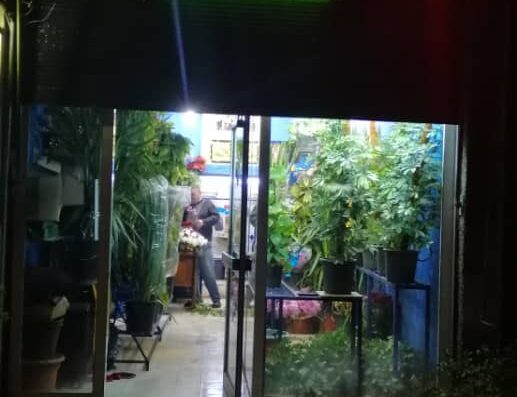 ازهار شاكر