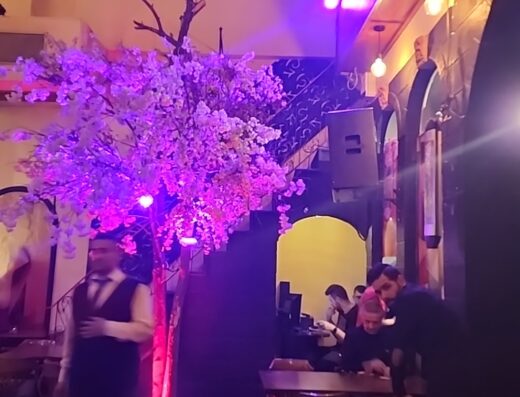 ماكديل