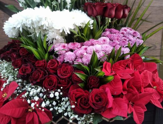 Hassan’s Flowers