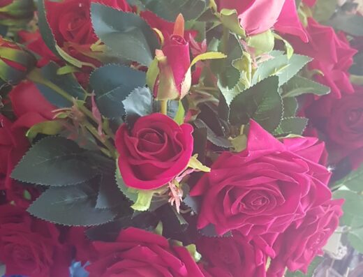 Hassan’s Flowers