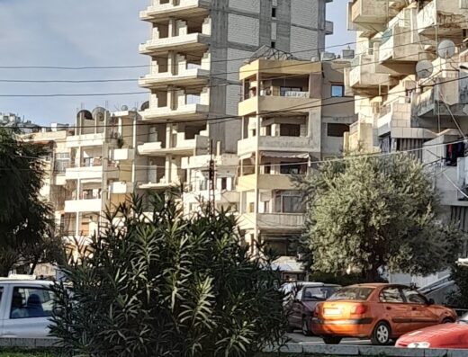مشروع الزين