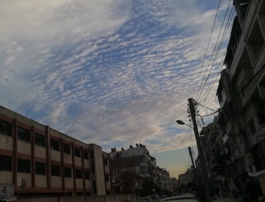 مشروع الزين